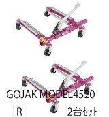 画像: ＧＯＪＡＫ®|ゴージャッキ®|ＭＯＤＥＬ４５２０【R】(2ピース)|ZENDEX