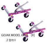 画像: ＧＯＪＡＫ®|ゴージャッキ®|ＭＯＤＥＬ６３１３【R】(2ピース)|ZENDEX